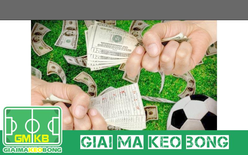 Bí kíp đọc odds châu Âu và tránh bẫy nhà cái